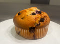 Muffin Blueberry